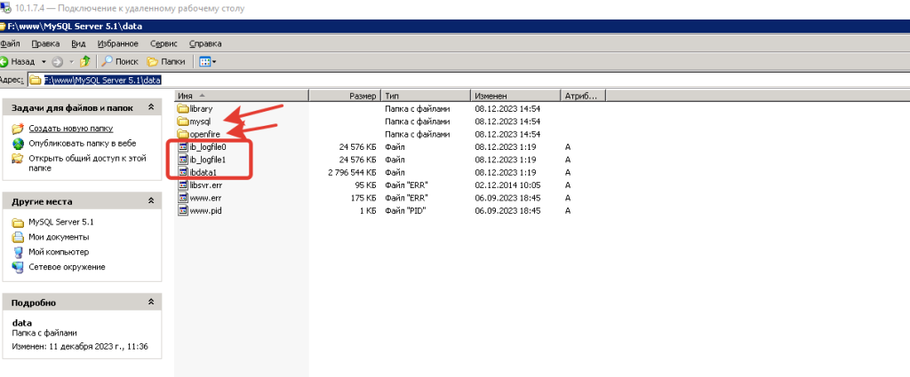 Файлы и папки для импорта БД MYSQL 5.1